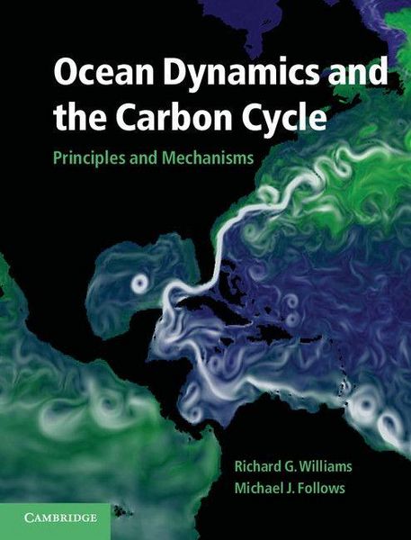 Produktbild: Ocean Dynamics and the Carbon Cycle