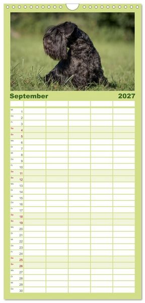 Produktbild: Familienplaner 2027 - Schnauzer... von Zwergen und Riesen 2027 mit 5 Spalten (Wandkalender, 21 x 45 cm) CALVENDO