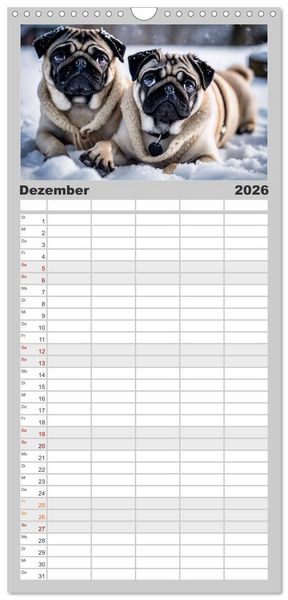 Produktbild: Familienplaner 2026 - M&ouml;pse - quirlige Charmebolzen mit 5 Spalten (Wandkalender, 21 x 45 cm) CALVENDO