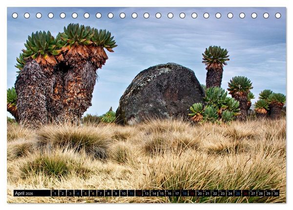 Produktbild: Kilimanjaro - das Dach Afrikas (Tischkalender 2026 DIN A5 quer), CALVENDO Monatskalender