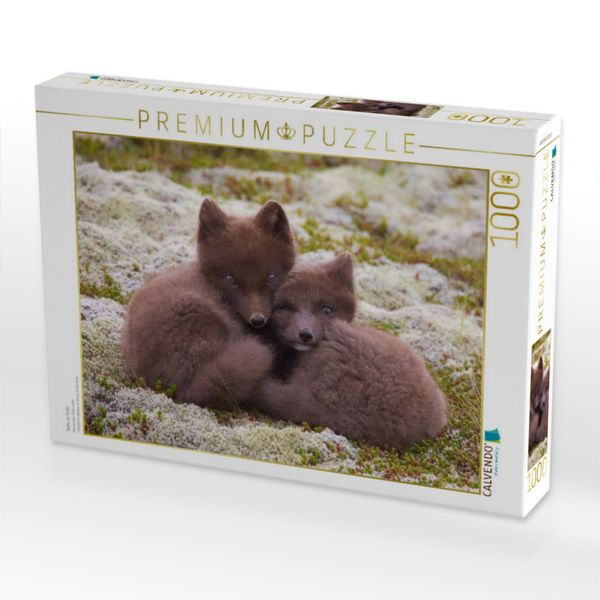 Produktbild: CALVENDO Puzzle Seite an Seite | 1000 Teile Lege-Gr&ouml;&szlig;e 64x48cm Foto-Puzzle f&uuml;r gl&uuml;ckliche Stunden