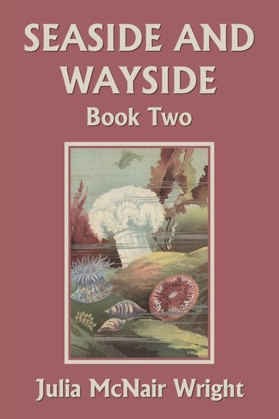 Produktbild: Seaside and Wayside, Book Two (Yesterday's Classics)