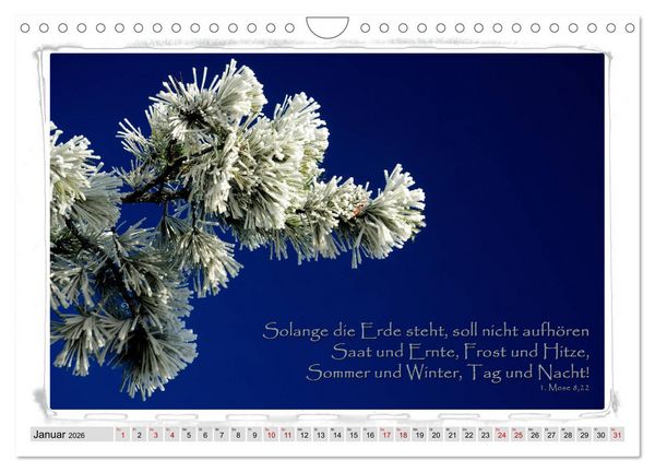 Produktbild: Biblische Spr&uuml;che und Verse (Wandkalender 2026 DIN A4 quer), CALVENDO Monatskalender