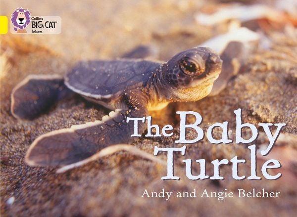 Produktbild: The Baby Turtle