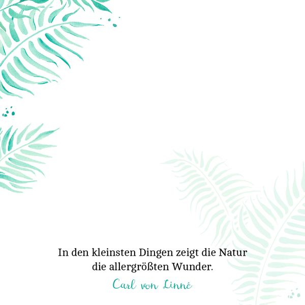 Produktbild: Zettelk&auml;stchen