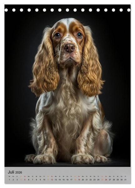 Produktbild: Cocker Spaniel - ein Hund f&uuml;r die Familie (Tischkalender 2026 DIN A5 hoch), CALVENDO Monatskalender