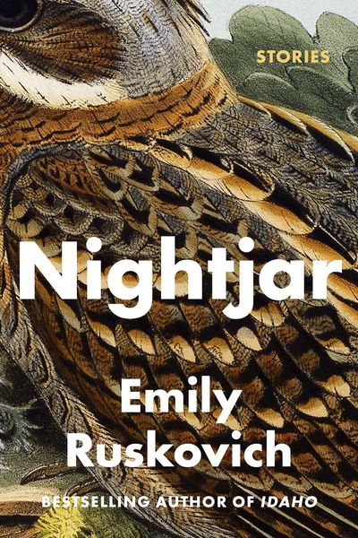 Produktbild: Nightjar