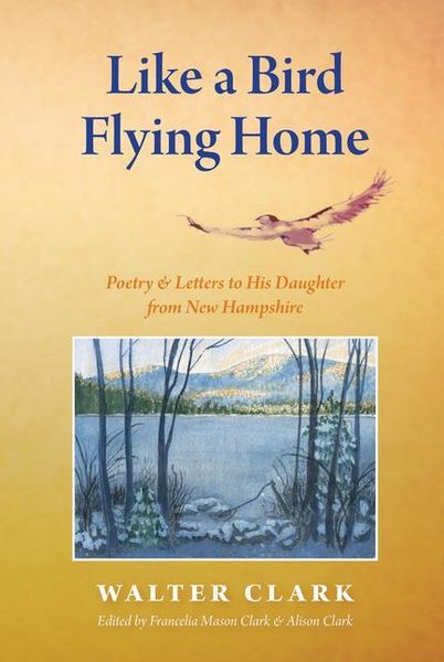 Produktbild: Like a Bird Flying Home