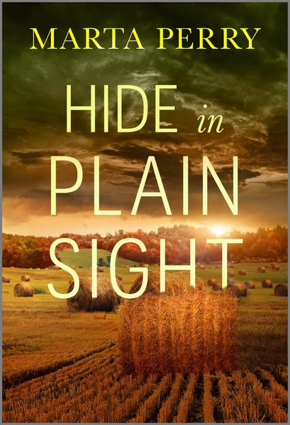 Produktbild: Hide in Plain Sight