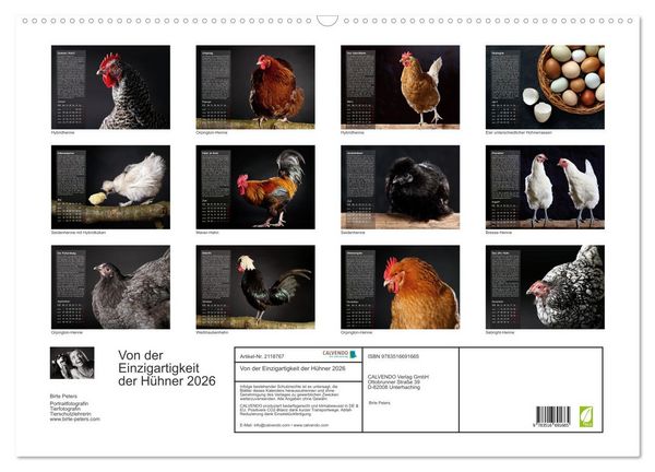 Produktbild: Von der Einzigartigkeit der H&uuml;hner 2026 (Wandkalender 2026 DIN A2 quer), CALVENDO Monatskalender