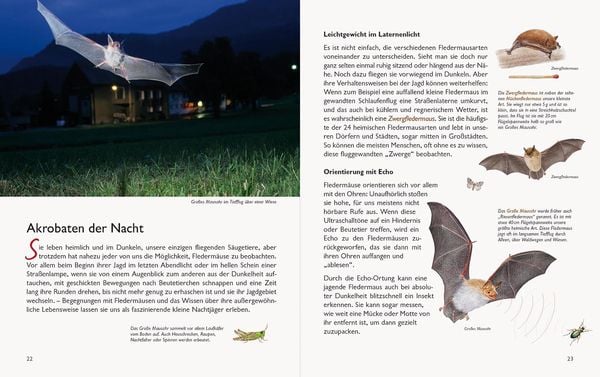 Wawra's Naturbuch – Unserer Natur auf der Spur, Bd. 1: Säugetiere, Vögel, Reptilien, Amphibien
