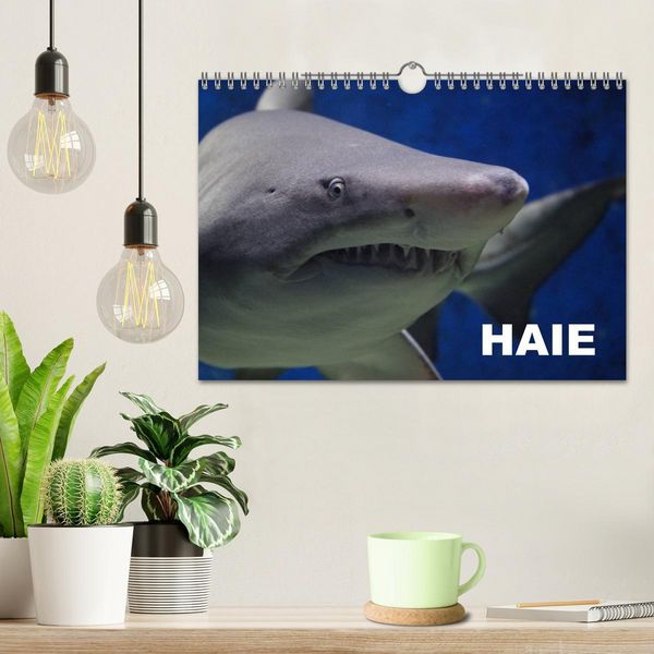 Produktbild: Haie (Wandkalender 2026 DIN A4 quer), CALVENDO Monatskalender