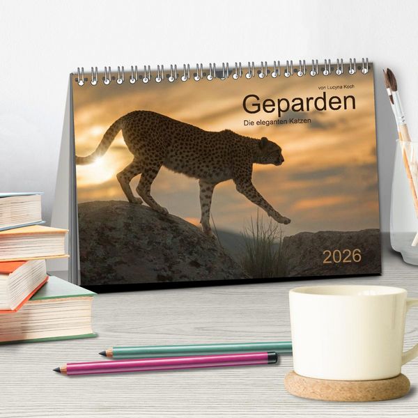 Produktbild: Geparden. Die eleganten Katzen. (Tischkalender 2026 DIN A5 quer), CALVENDO Monatskalender