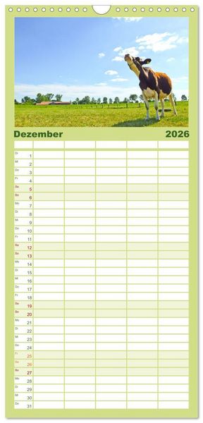 Produktbild: Familienplaner 2026 - Die Kuh macht Muuuh! mit 5 Spalten (Wandkalender, 21 x 45 cm) CALVENDO