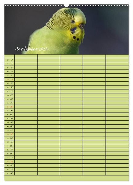 Produktbild: Der Wellensittich-Familienplaner (hochwertiger Premium Wandkalender 2026 DIN A2 hoch), Kunstdruck in Hochglanz
