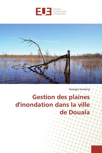 Produktbild: Gestion des plaines d'inondation dans la ville de Douala
