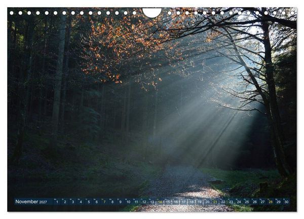 Produktbild: Spaziergang im Wald (Wandkalender 2027 DIN A4 quer), CALVENDO Monatskalender