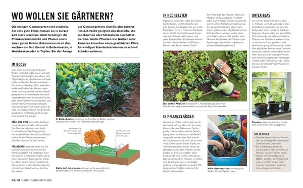 Produktbild: Gr&uuml;nes Gartenwissen. Gem&uuml;se anbauen