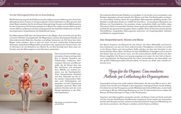 Produktbild: Yoga f&uuml;r die Organe