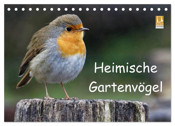 Heimische Gartenvögel (Tischkalender 2026 DIN A5 quer), CALVENDO Monatskalender