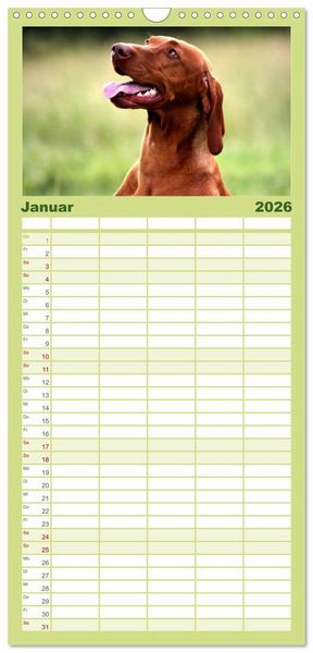 Produktbild: Familienplaner 2026 - Magyar Vizsla mit 5 Spalten (Wandkalender, 21 x 45 cm) CALVENDO