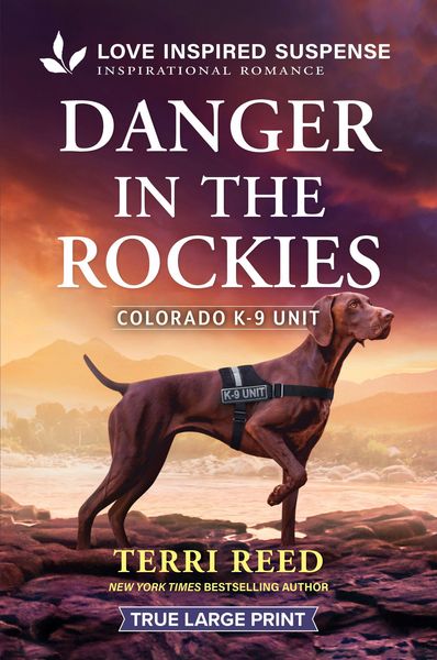 Produktbild: Danger in the Rockies