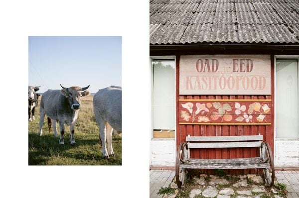 Produktbild: Estnisch Stricken
