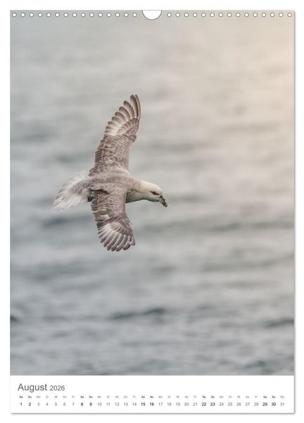 Produktbild: Die Arktis - Naturfotografien aus Spitzbergen (Wandkalender 2026 DIN A3 hoch), CALVENDO Monatskalender