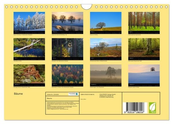 Produktbild: B&auml;ume (Wandkalender 2026 DIN A4 quer), CALVENDO Monatskalender