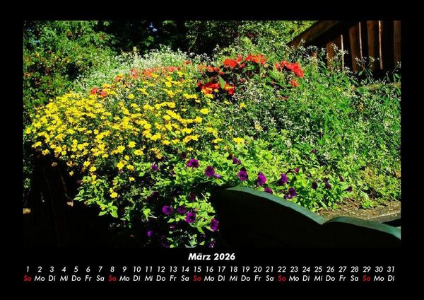 Produktbild: Blumentr&auml;ume 2026 Fotokalender DIN A3