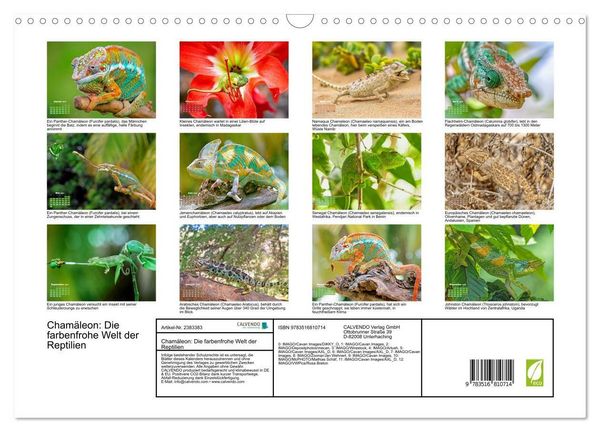 Produktbild: Cham&auml;leon: Die farbenfrohe Welt der Reptilien (Wandkalender 2027 DIN A3 quer), CALVENDO Monatskalender