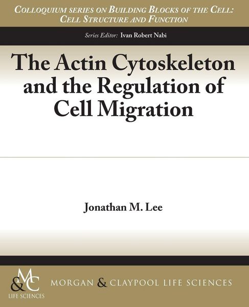 Produktbild: The Actin Cytoskeleton and the Regulation of Cell Migration