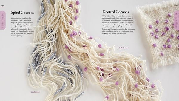 Produktbild: The Spinner's Book of Yarn Designs