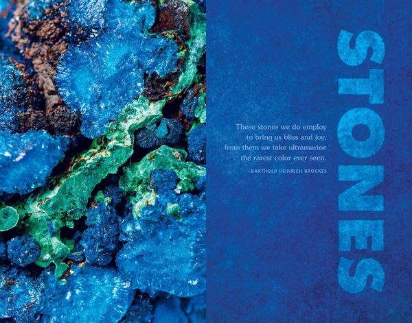 Produktbild: Blue - In Search of Nature`s Rarest Color