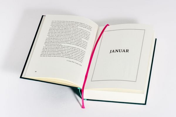 Produktbild: Ein Jahr des Staunens