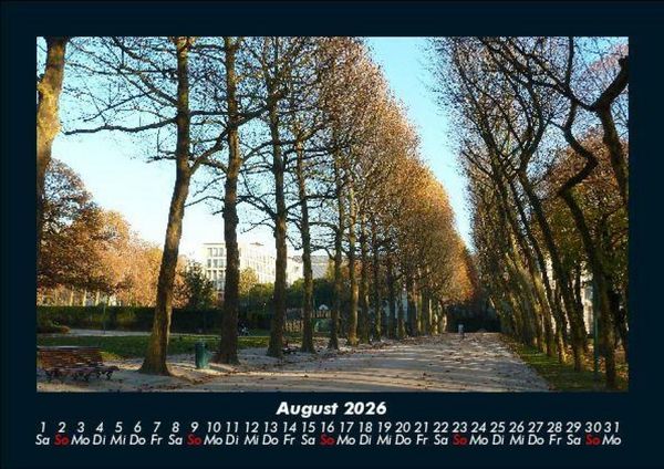 Produktbild: B&auml;ume 2026 Fotokalender DIN A5