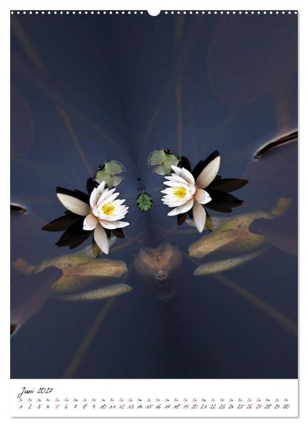 Produktbild: Durchschnittlich - Verzauberte Flora (Wandkalender 2027 DIN A2 hoch), CALVENDO Monatskalender