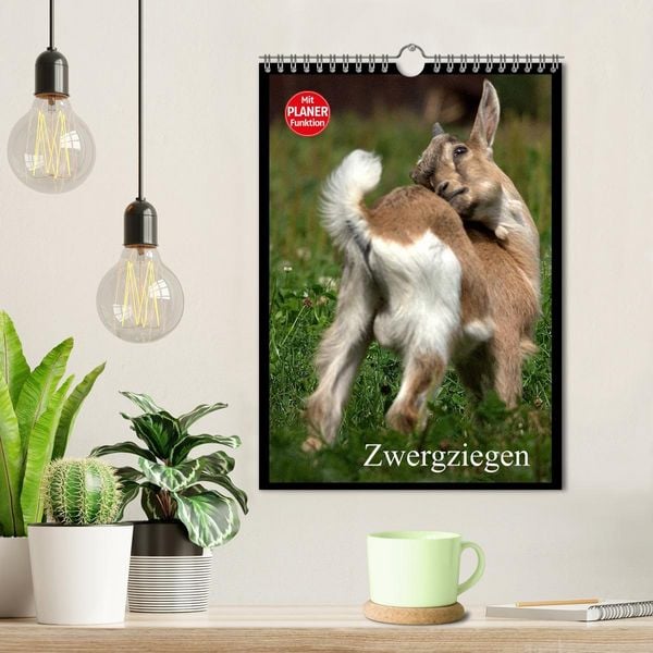 Produktbild: Zwergziegen (Wandkalender 2026 DIN A4 hoch), CALVENDO Monatskalender