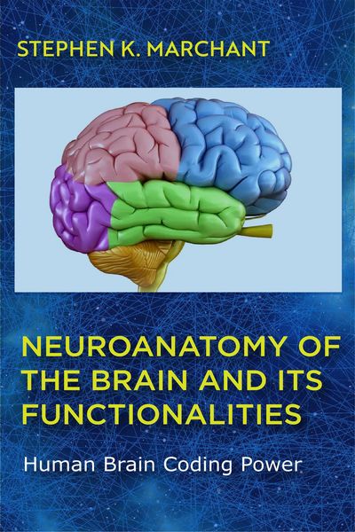 Produktbild: Neuroanatomy of the Brain and its functionalities (1, #172)