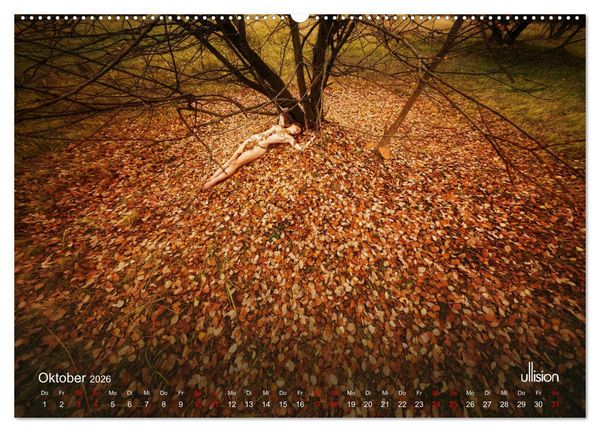 Produktbild: Poesie der Stille &ndash; Akt in der Natur (Wandkalender 2026 DIN A2 quer), CALVENDO Monatskalender