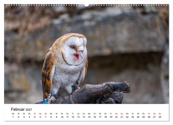 Produktbild: Greifv&ouml;gel in Aktion - Dynamische Flugbilder und Portr&auml;ts (hochwertiger Premium Wandkalender 2027 DIN A2 quer), Kunstdruck in Hochglanz