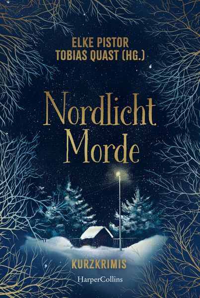 Produktbild: Nordlichtmorde. 20 Kurzkrimis