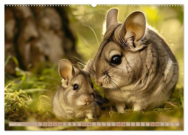 Produktbild: Tierkinder des S&uuml;dens (hochwertiger Premium Wandkalender 2026 DIN A2 quer), Kunstdruck in Hochglanz