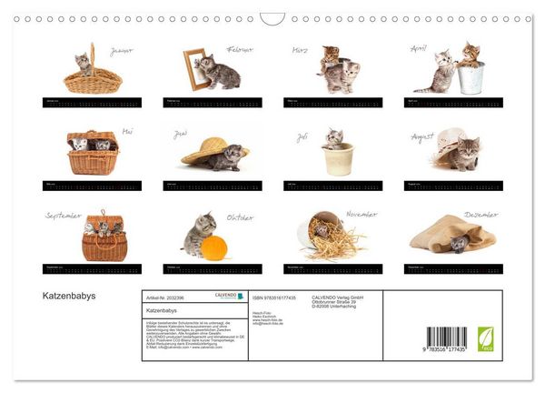 Produktbild: Katzenbabys (Wandkalender 2026 DIN A3 quer), CALVENDO Monatskalender