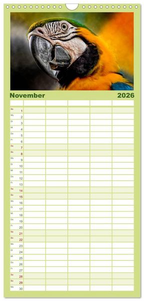 Produktbild: Familienplaner 2026 - Mein bunter Papagei mit 5 Spalten (Wandkalender, 21 x 45 cm) CALVENDO