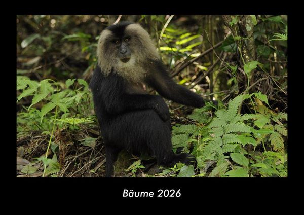 Produktbild: B&auml;ume 2026 Fotokalender DIN A3