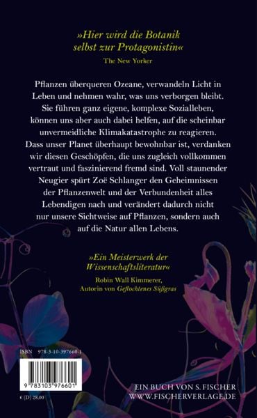Produktbild: Die Lichtwandler