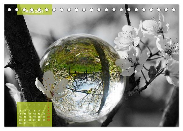Produktbild: Die bunte Welt in der Kugel - neue Blickwinkel (Tischkalender 2026 DIN A5 quer), CALVENDO Monatskalender