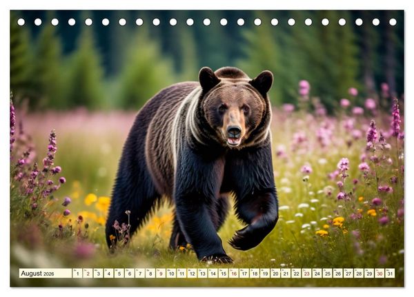 Produktbild: Gro&szlig;e und kleine B&auml;ren (Tischkalender 2026 DIN A5 quer), CALVENDO Monatskalender