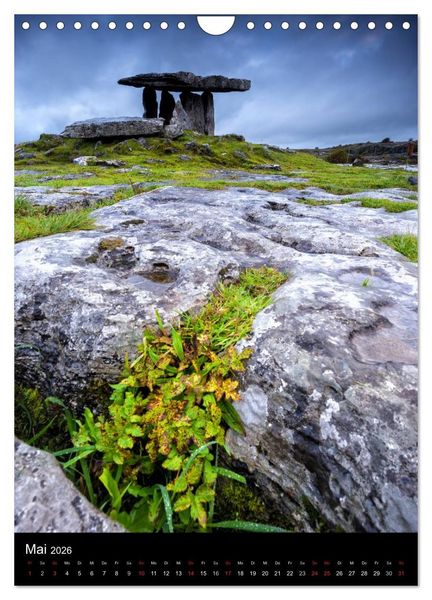 Produktbild: Irland entdecken (Wandkalender 2026 DIN A4 hoch), CALVENDO Monatskalender